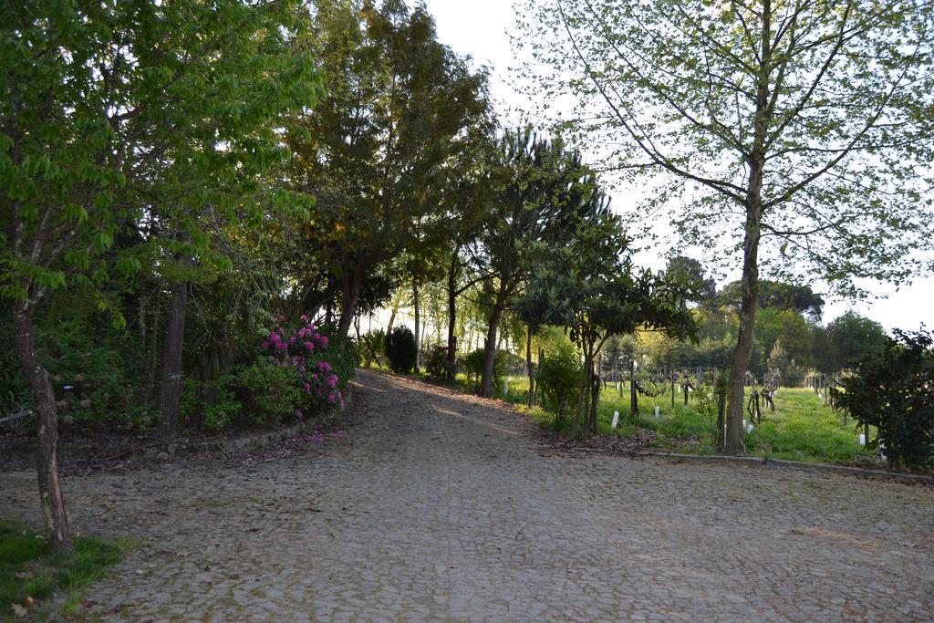 Quinta Do Mosteiro Felgueiras Eksteriør bilde